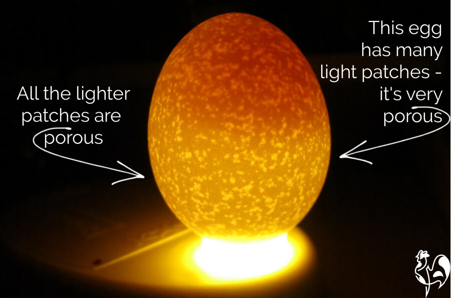 Eggs Best Before Date How Long at John Anthony blog