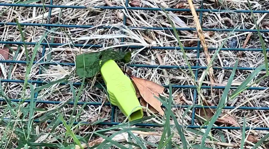 Eglu's predator-proof 'L' shaped skirt, held down with strong plastic "screw".