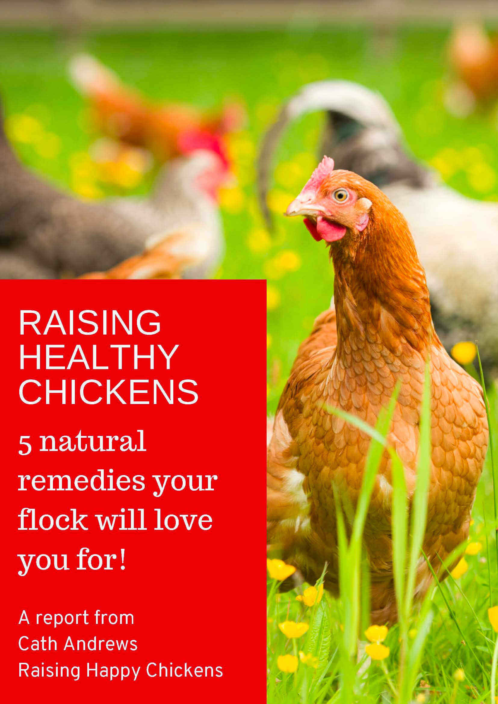 5 natural remedies your chickens will love. Free report: 5 natural remedies your flock will love you for.