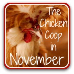 Taking care of your flock in November - link.