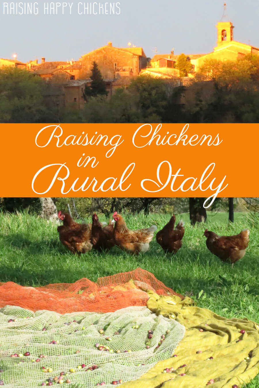 Raising chickens in rural Italy - pin for later.