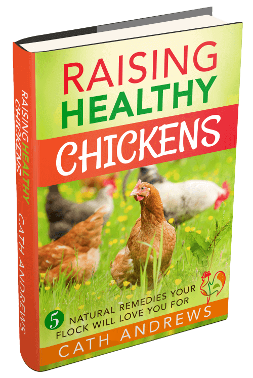 Cost-free electronic mail newsletters and a complimentary e-book! photo regarding Eat More Chicken Printable Sign identify Cost-free e mail newsletters and a complimentary book!