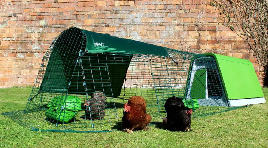 The Omlet chicken run a review of its benefits and features.