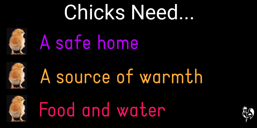 Text on black background with small chicks as bullet points. A chicken needs a safe home, a source of warmth, food and water.