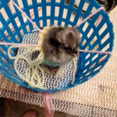 Sticky's first swing