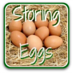 How to store eggs safely - link.