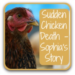 Sudden chicken death syndrome - link.
