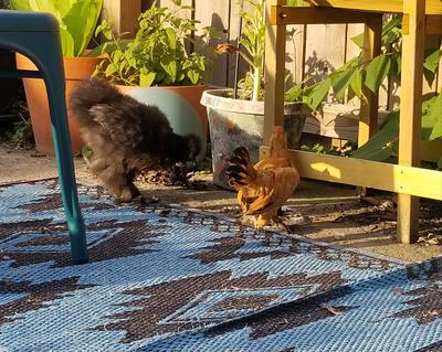 Spending time in the sun :)