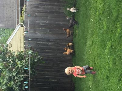 She was the black and white one