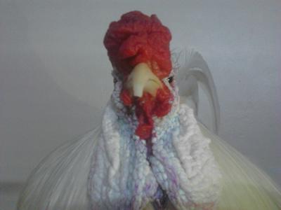 We love you always! See you soon