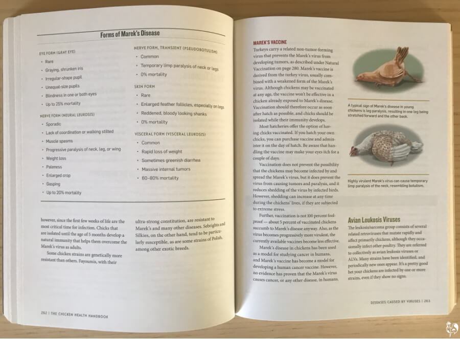 The Marek's disease page of the Chicken Health Handbook, with illustration of a chicken with Marek's.