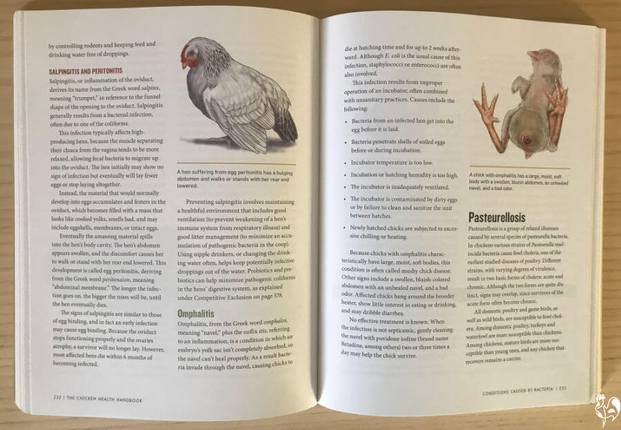 The Chicken Health Handbook open at the page concerning egg peritonitis.