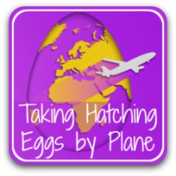 Transporting hatching eggs by air - link.
