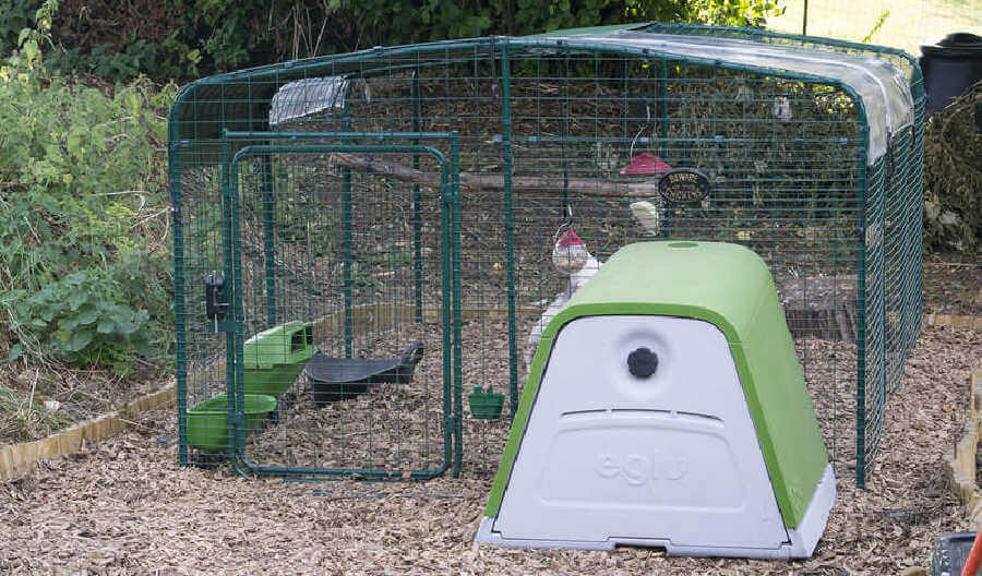 The large Omlet walk in run with an attached Eglu Go.