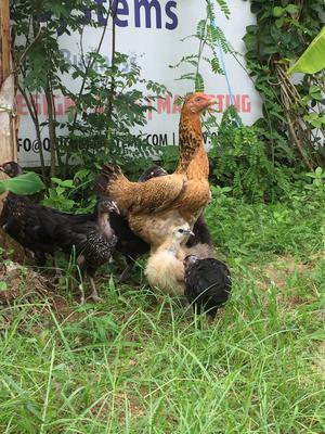 Look How she's posing for the camera!