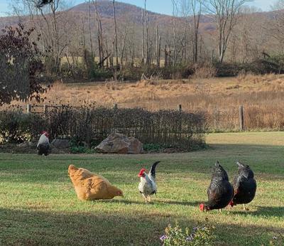 Edward ~ Forever Loved!