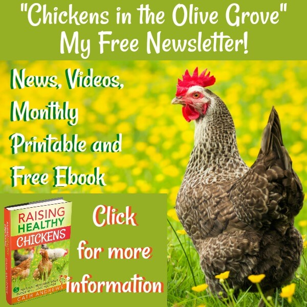 What Should Ens Absolutely Not Eat Link Click For More Information About My Free Newsletter