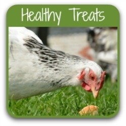 What Should Ens Absolutely Not Eat Healthy Treats For Ens Link